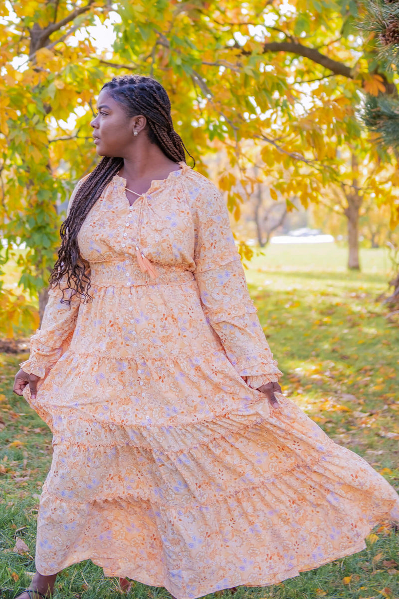 Carnelia Apricot Maxi Dress